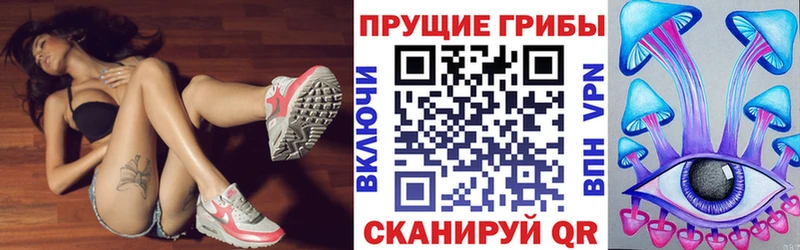 Галлюциногенные грибы GOLDEN TEACHER  shop какой сайт  Кодинск  купить  цена 